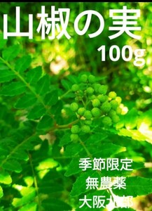 山椒の実　実山椒　山椒　100グラム　大阪産