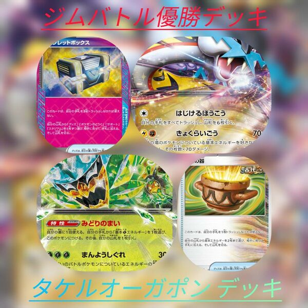 【ジムバトル優勝デッキ】タケルライコex オーガポンみどりのめんex デッキ ポケモンカード