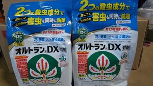 ゆっくり配送 1kg ×２袋セット オルトランDX粒剤 送料無料 オルトラン dx 住友 在庫調整 アウトレット 有効期限１年以上