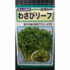 ３袋セット わさびリーフ カラシナ ワサビ 山葵 種 郵便は送料無料