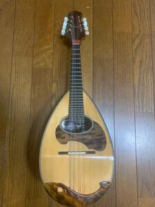 Calace color che mandolin / Classico B( used ) case attaching 