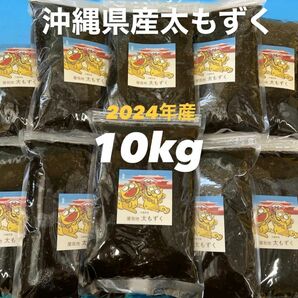 2024年産漁師直送 　沖縄県産太くて長～い屋我地の塩蔵もずく(1kg×10パック)送料無料　沖縄特産品