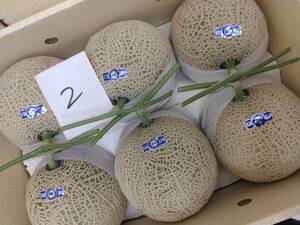 ! free shipping 2 greenhouse mask melon Kochi production large sphere 6 sphere entering approximately 10.0kg beautiful goods 