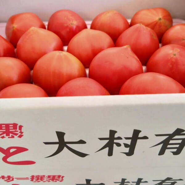 長﨑県産「フルーツトマト」糖度８〜9.9度。３箱セット