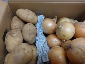  длина . префектура производство. картофель [ I yutaka]5 kilo. шар лук порей.5 kilo 