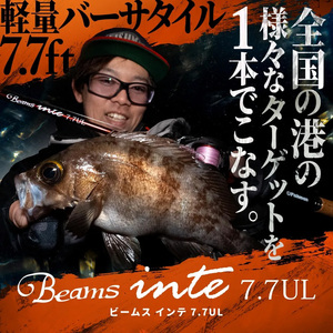 【Fishman/フィッシュマン】Beams inte 7.7UL（ビームス インテ）/*