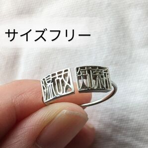 シルバーカラーリング 透かし彫り 温故知新 四字熟語 リング サイズフリー