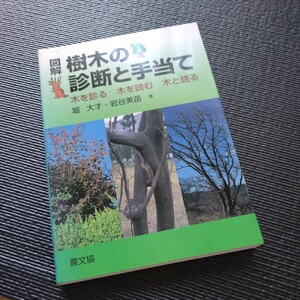 * home for buy book@* tree. diagnosis . hand present .* tree ... tree . read tree . language .* including in a package possible *