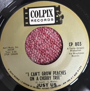 Just Us・桜の木に桃はならない・Colpix・Chip Taylor・George Algony・US 45's原盤・Oldies・