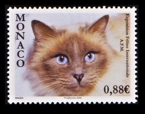 cλ21y5-6m　モナコ2009年　猫・1枚完