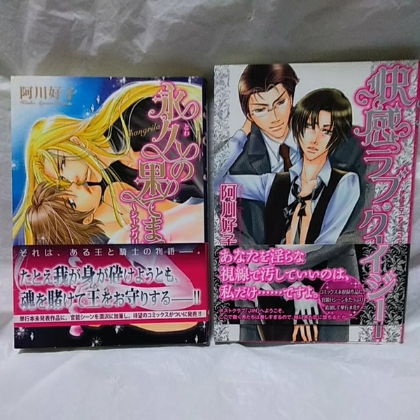 送料込み 阿川好子 【 永久の果てまで ~シャングリラ~ 】 【 快感ラブ・クレイジー 】 BL ボーイズラブ 初版発行 帯付