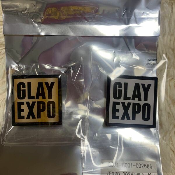 GLAY EXPO 2024 ランダムバラエティグッズ ピンバッジ　２種③