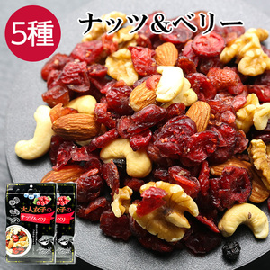  nuts & Berry 5 kind 2 sack mixed nuts dried fruit bite snack nuts almond cashew blueberry cranberry 
