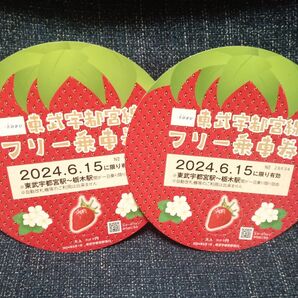 TOBU 東武宇都宮線フリーきっぷ2024/6/15配布分