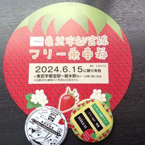 東武宇都宮線フリー乗車券と限定缶バッチのセット【B】