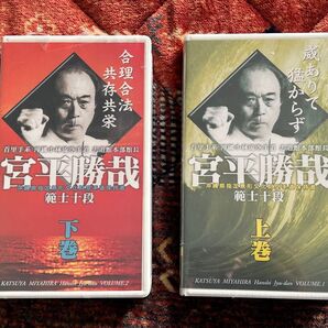 宮平勝哉(範士十段)katsuya miyahara 沖縄空手 VHS ビデオ 2本セット