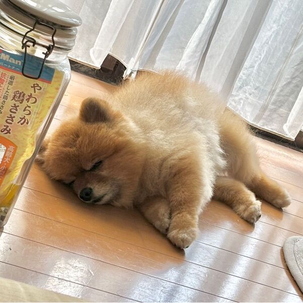 専用 タンクトップ
