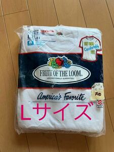 Lサイズ デッドストック 80's フルーツオブザルーム FRUIT OF THE LOOM 無地3P Tシャツ L ONEITA ANVIL HANES 3パック..