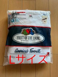 Lサイズ デッドストック 80's フルーツオブザルーム FRUIT OF THE LOOM 無地3P Tシャツ L ONEITA ANVIL HANES 3パック.