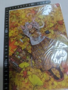  one room, day per normal, angel attaching Mini clear file nylon unopened used 