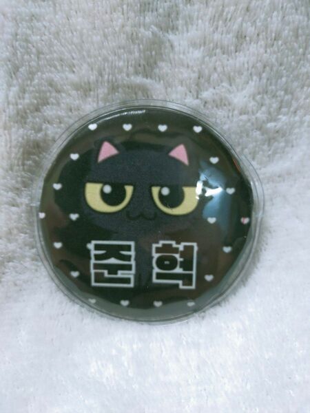 n.SSign ジュニョク イメージキャラクター缶バッジ