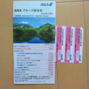 送料無料 ANA 全日空 株主優待券3枚 グループ優待券 有効期限2025年5月31日まで 