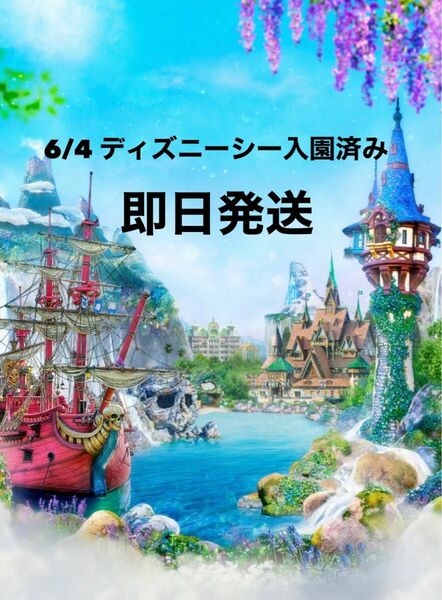 ディズニーシー 6/4入園済み チケット グッズ購入用 ファンタジースプリングス グッズ 