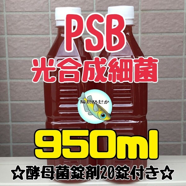 【PSB 光合成細菌950ml 】酵母菌錠剤20錠つき 培養可能なセットです♪【陽悠めだか】