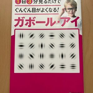ガボール・アイ