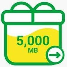 mineo パケットギフト　5000MB(5GB)