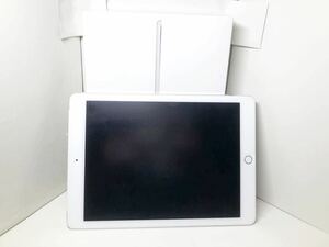 iPad Air 2 シルバー 16GB ジャンク品　Wi-Fi&Cellularモデル 外装破損なし 液晶異常なし　正常駆動品