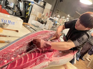  местного производства обыкновенный тунец жирный тунец 5~6 порции тщательно отобранный натуральный 400 грамм ~