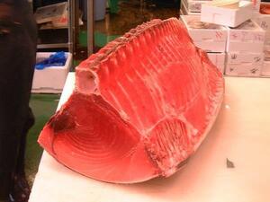  тунец средней жирности 800g и больше 1 номер популярный! обыкновенный тунец!!* бесплатная доставка *