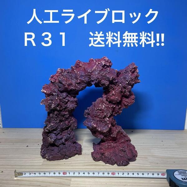 人工ライブロック R31 送料無料