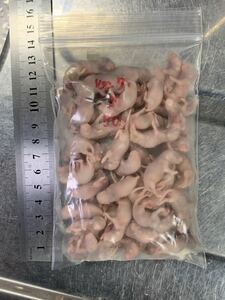 Ω domestic production freezing mouse, pink S 50 pcs set Ω