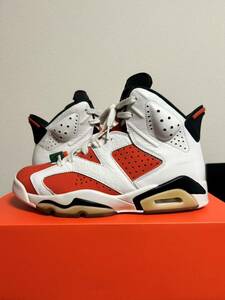 NIKE AIR JORDAN 6 ゲーターレード エアジョーダン6