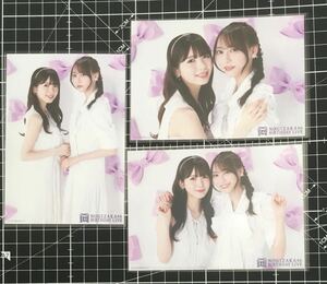  tube .... bow tree ..12 anniversary commemoration 2shot comp Nogizaka 46 life photograph 3 kind comp ( inspection ) Chance is flat etc. 