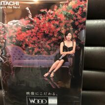 未使用★黒木瞳　非売品クリアファイル　日立　HITACHI Wooo ★_画像2