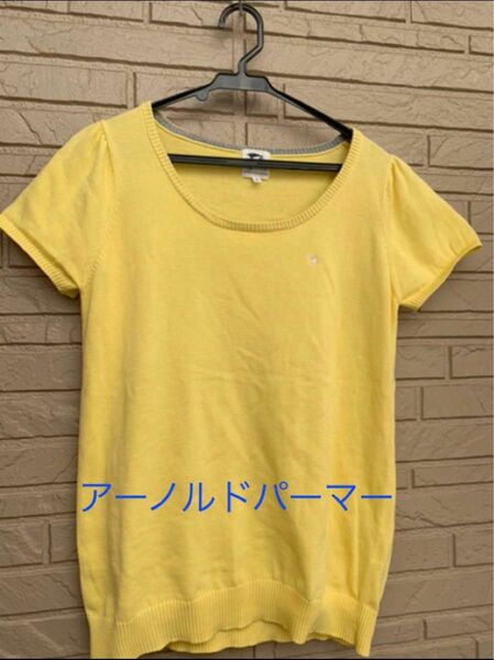 半袖ニット Tシャツ　カットソー ニット　サマーニット　セーター