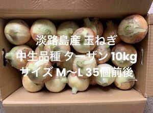  Hyogo префектура Awaji Island производство шар лук порей M~L нет выбор другой 10kg средний сырой товар вид Tarzan 35 шт передний и задний (до и после) .. Awaji Island 