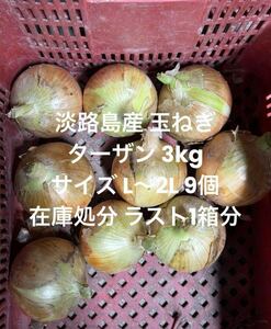 在庫処分 兵庫県 淡路島産 玉ねぎ L～2L 3kg 中生品種 ターザン 9個 淡路 淡路島