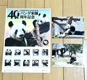 パンダ来園40周年記念◆上野動物園フレーム切手◆リーリー＆シンシン+生写真【新品】カンカン/ランラン/トントン☆シャンシャン好きの方へ