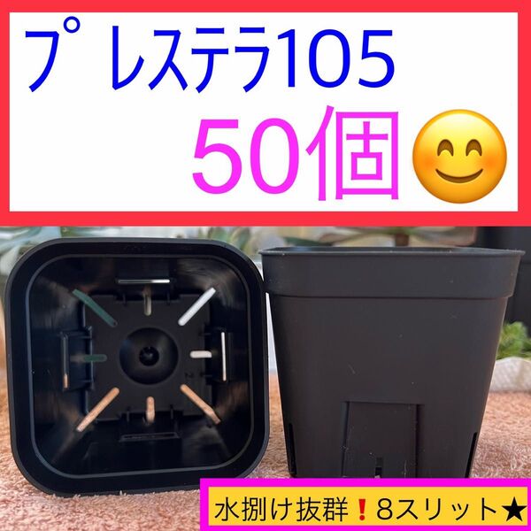 E①① 【プレステラ105】ブラック 50個セット★