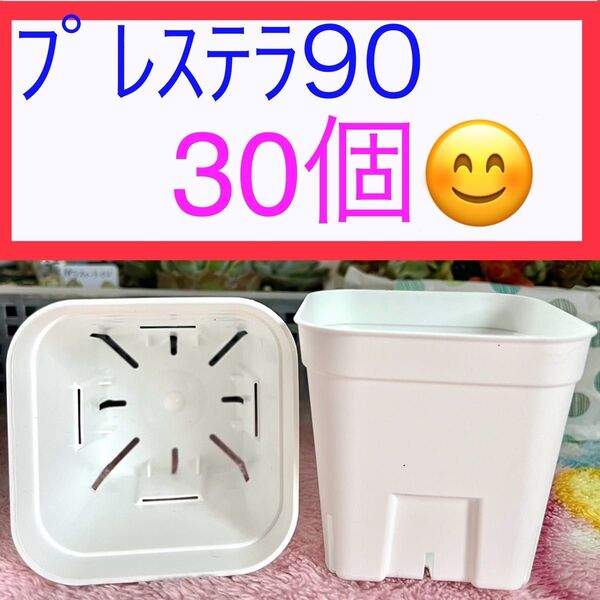 F①【プレステラ90】ホワイト 30個セット★