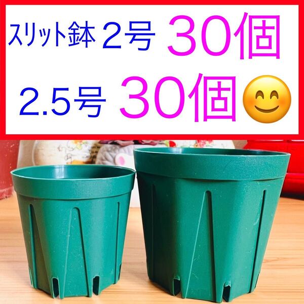 A①⑨ スリット鉢お得セット★【2号30個】【2.5号30個】