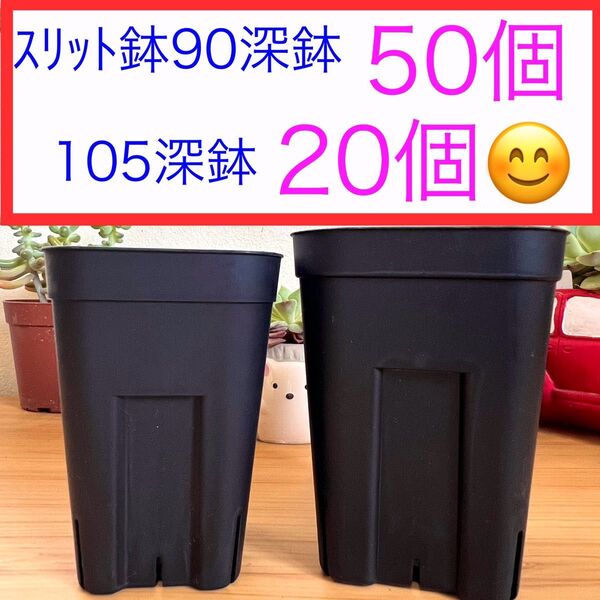 H②② プレステラお得セット★ 【90深鉢50個】【105深鉢20個】