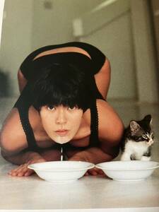 【7枚】　網浜直子　切り抜き　四つん這い　猫　夏・体験物語　昭和タレント　80年代アイドル 