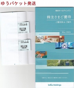 西武ホールディングス 株主優待乗車証2枚(西武鉄道全線 西武バス全線)＋株主優待券1冊