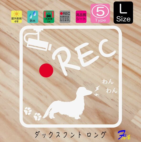 ダックスロング ドラレコステッカー 05 Lサイズ 全28色から選べる #drFUMI #dFUMI #ddFUMI #ddFUMIダックス #ドラレコ