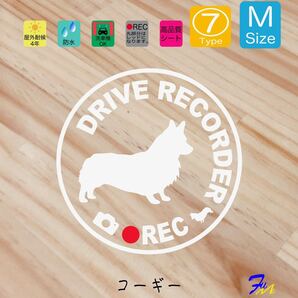 コーギー ドラレコステッカー 07 Mサイズ 文字(書体) 4種類から選べる 全28色 #drFUMI #dFUMI #ddFUMI #ddFUMIコーギー #ドラレコ